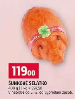 Terno ŠUNKOVÉ SELÁTKO 400 g nabídka