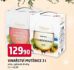 Trefa VINAŘSTVÍ MUTĚNICE 3 L nabídka