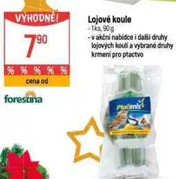 Globus Lojové koule nabídka