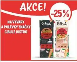 Globus Na vývary a polévky značky cibule bistro nabídka