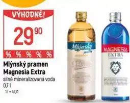 Globus Mlýnský pramen Magnesia Extra nabídka