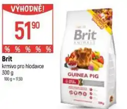 Globus Brit krmivo pro hlodavce nabídka
