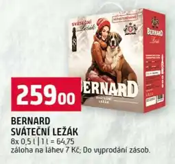 Terno Bernard sváteční ležák nabídka