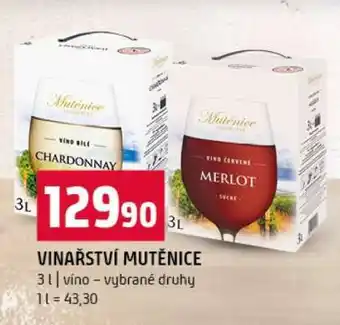 Terno Vinařství Mutěnice nabídka