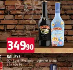 Terno Baileys nabídka