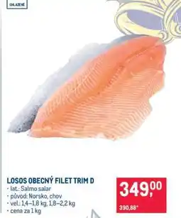 Makro Losos obecný filet trim D nabídka