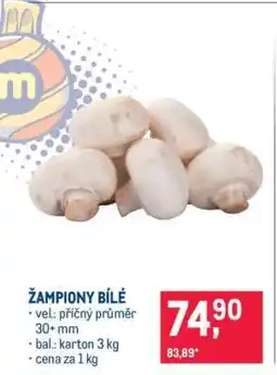 Makro Žampiony bílé nabídka