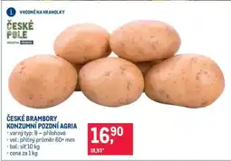Makro ČESKÉ BRAMBORY KONZUMNÍ POZDNÍ AGRIA nabídka