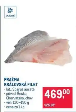 Makro Pražma královská filet nabídka