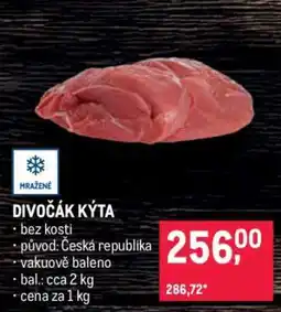 Makro DIVOČÁK KÝTA nabídka