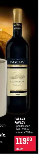 Makro PÁLAVA PAVLOV nabídka