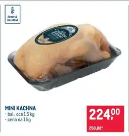 Makro MINI KACHNA nabídka