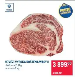 Makro HOVĚZÍ VYSOKÁ ROŠTĚNÁ WAGYU nabídka