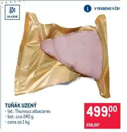 Makro Tuňák uzený nabídka