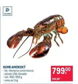 Makro HUMR AMERICKÝ nabídka