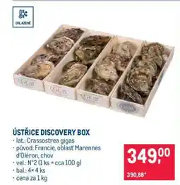 Makro ÚSTŘICE DISCOVERY BOX nabídka