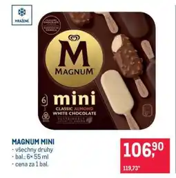 Makro Magnum mini nabídka