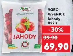 Kaufland AGRO JESENICE Jahody 1000 g nabídka
