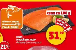 Penny Market Losos divoký keta filet nabídka