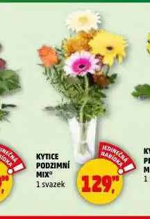 Penny Market Kytice podzimní mix nabídka
