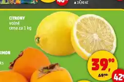 Penny Market Citrony nabídka