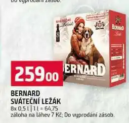 Terno BERNARD SVÁTEČNÍ LEŽÁK 8x0,5 l nabídka