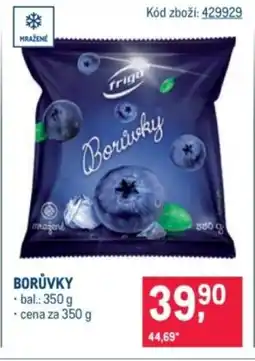 Makro Borůvky nabídka