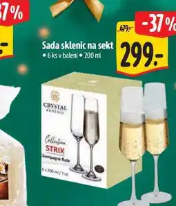 Albert Sada sklenic na sekt 6 ks nabídka
