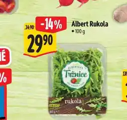 Albert Albert Rukola 100 nabídka