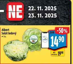 Albert Albert Salát ledový 1 ks nabídka