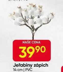 Hruška Jeřabiny zápich 14 cm | PVC nabídka