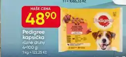Hruška Pedigree kapsička různé druhy 4×100 g nabídka