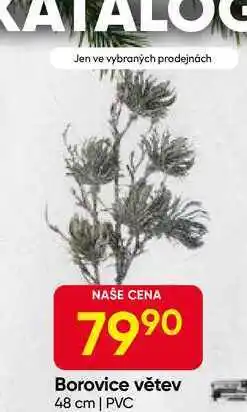 Hruška Borovice větev 48 cm | PVC nabídka