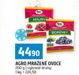 Terno AGRO MRAŽENÉ OVOCE 200 g nabídka