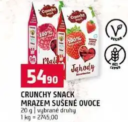 Terno CRUNCHY SNACK MRAZEM SUŠENÉ OVOCE 20 g nabídka