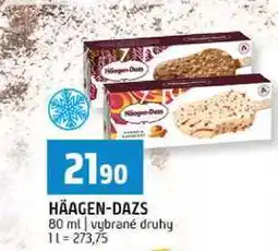 Terno HÄAGEN-DAZS 80 ml nabídka