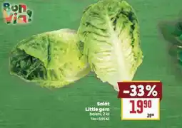 Billa Salát little gem nabídka