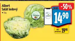 Albert Albert Salát ledový nabídka