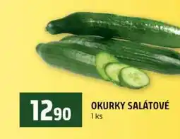 Terno OKURKY SALÁTOVÉ 1 ks nabídka