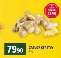 Terno ZÁZVOR ČERSTVÝ 1 kg nabídka