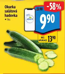 Albert Okurka salátová hadovka nabídka