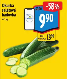 Albert Okurka salátová hadovka nabídka