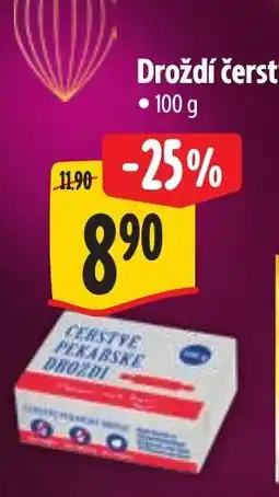 Albert Droždí čerstvé nabídka