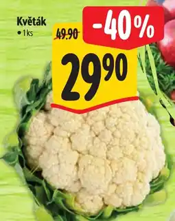 Albert Květák nabídka