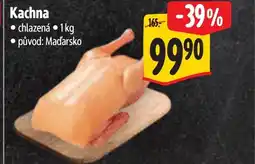 Albert Kachna nabídka