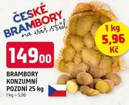Trefa BRAMBORY KONZUMNÍ POZDNÍ 25 kg nabídka