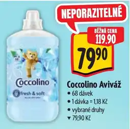 Albert Coccolino Aviváž nabídka