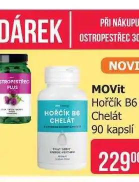 Teta MOVit Hořčík B6 Chelát 90 kapslí nabídka