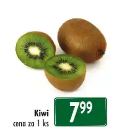 Astur&Qanto Kiwi nabídka