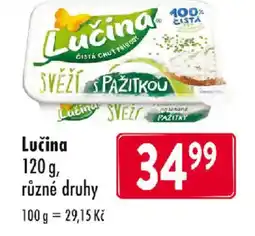 Astur&Qanto Lučina nabídka